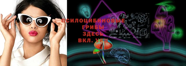 крисы Волоколамск