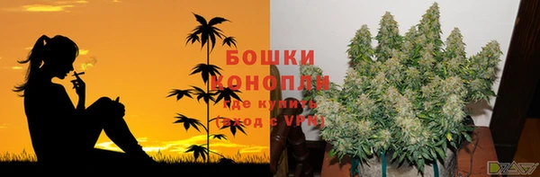крисы Волоколамск