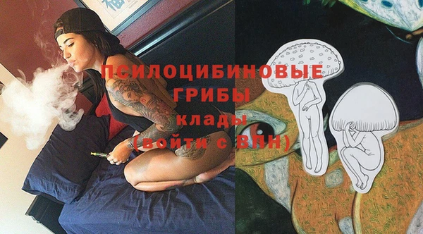 крисы Волоколамск