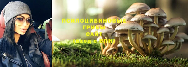 крисы Волоколамск