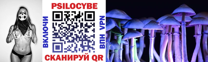 где купить наркоту  Нижний Новгород  MEGA вход  Галлюциногенные грибы ЛСД 